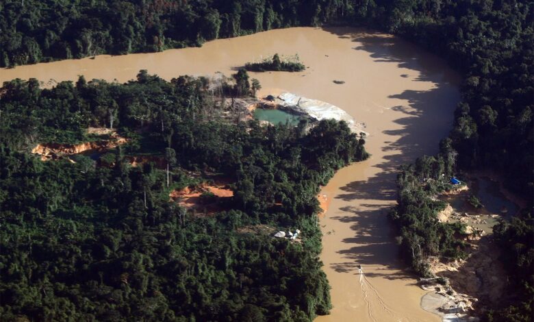 illegal gold mine Brazil