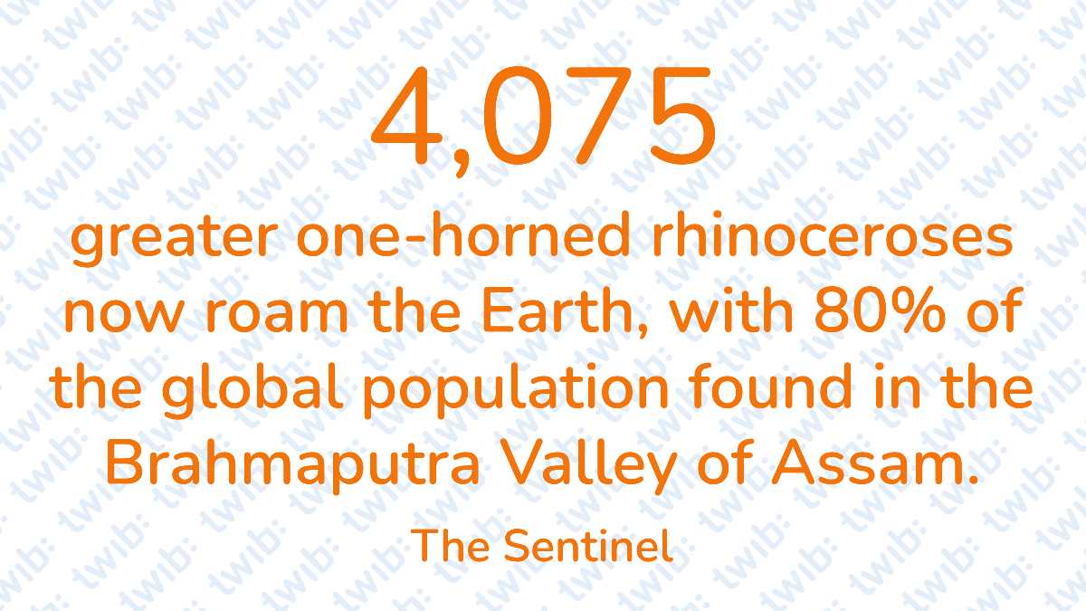 Did you know? 281026