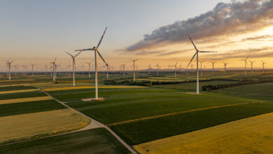 Sunset Over Wind Turbines in Vast Agricultural Fields with Golden and Green Crops