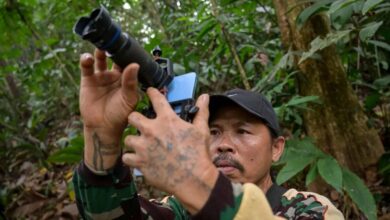 Wildlife photographer Octavio in Indonesia