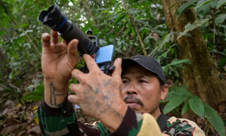 Wildlife photographer Octavio in Indonesia